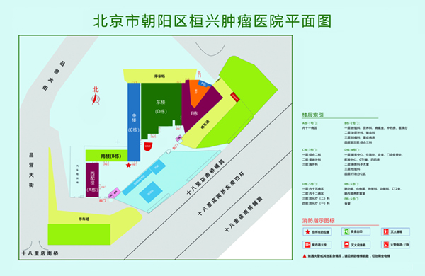 大鸡吧插我爽死了视频北京市朝阳区桓兴肿瘤医院平面图